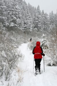 Snowshoeing in Chippewa Falls