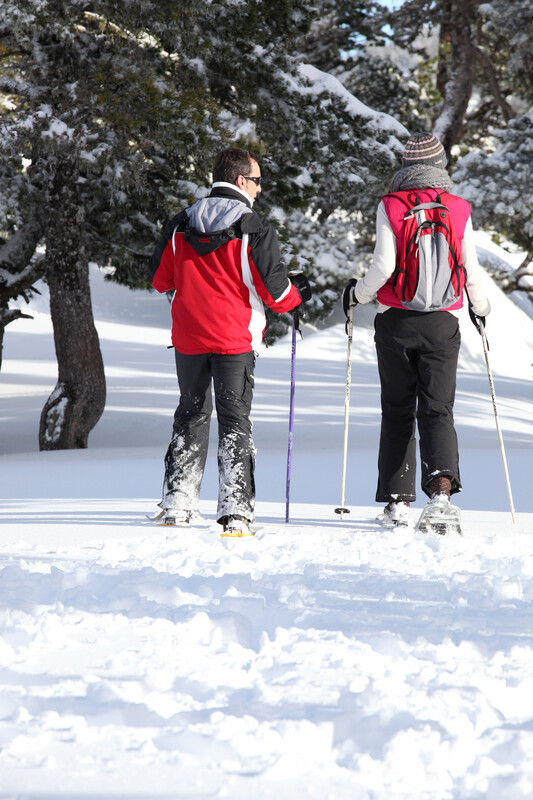 Couple skiing near pine trees